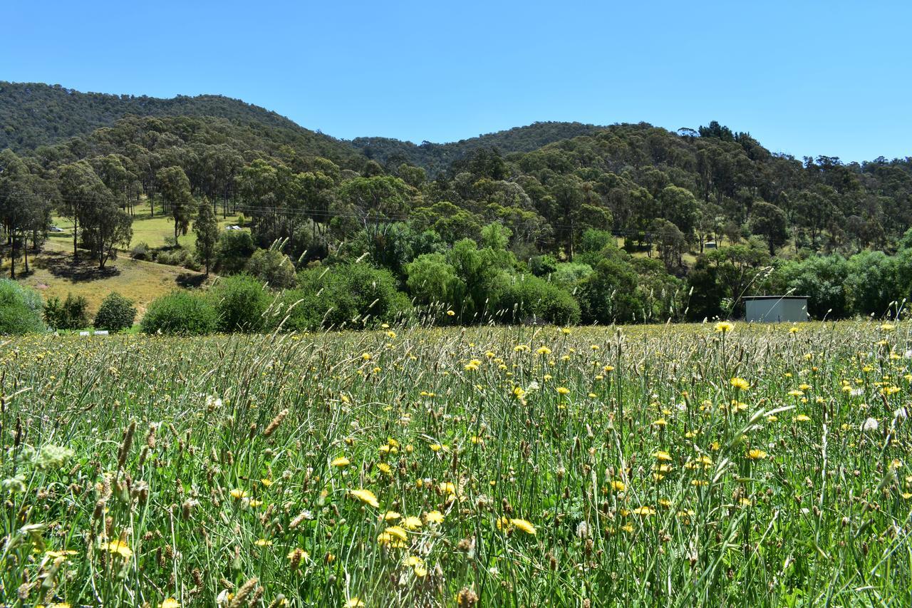 Mountain View Motel Corryong Exteriér fotografie
